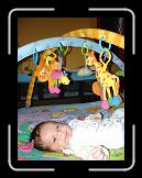 DSC01297 * 1536 x 2048 * (1.3MB)