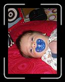 DSC01315 * 1536 x 2048 * (1.33MB)