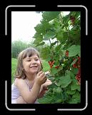 2009_06_30_024 * 1536 x 2048 * (1.38MB)