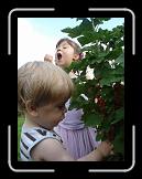 2009_06_30_027 * 1536 x 2048 * (1.5MB)