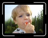 2009_06_30_061 * 2048 x 1536 * (1.22MB)