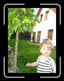 2009_06_30_084 * 1536 x 2048 * (1.44MB)