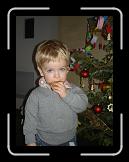 DSC08506 * 1536 x 2048 * (1.31MB)