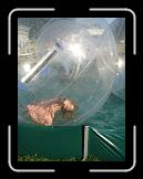 DSC09029 * 1536 x 2048 * (1.26MB)