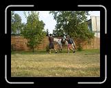 DSC09043 * 2048 x 1536 * (1.38MB)