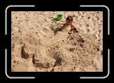 DSC00014 * 3872 x 2592 * (5.78MB)