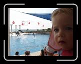 DSC08002 * 2048 x 1536 * (1.35MB)